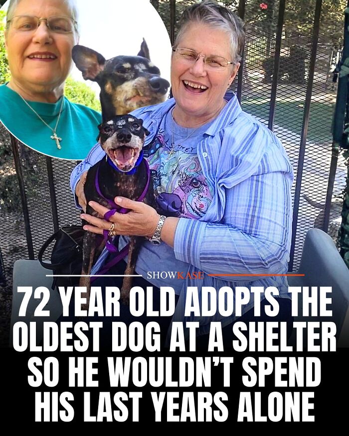 61 Wholesome Stories That Might Make You Shed A Tear Because They&rsquo;re So Overwhelmingly Awesome