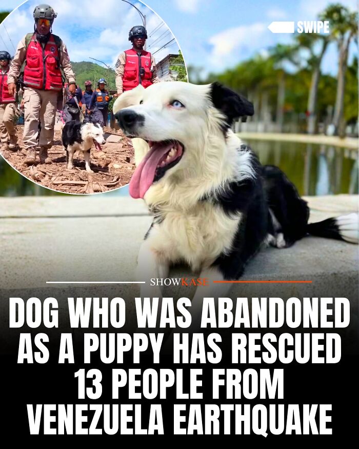 61 Wholesome Stories That Might Make You Shed A Tear Because They&rsquo;re So Overwhelmingly Awesome