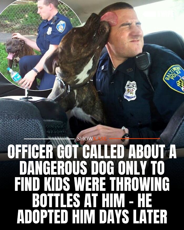 61 Wholesome Stories That Might Make You Shed A Tear Because They&rsquo;re So Overwhelmingly Awesome
