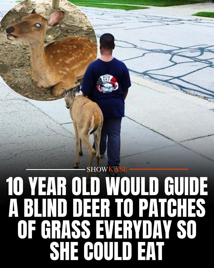 61 Wholesome Stories That Might Make You Shed A Tear Because They&rsquo;re So Overwhelmingly Awesome