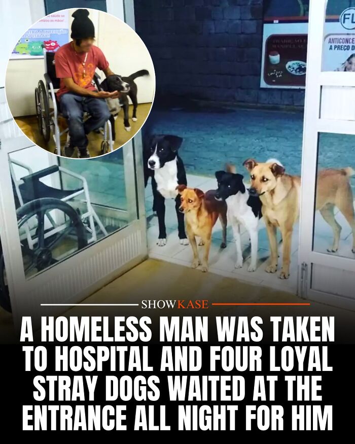 61 Wholesome Stories That Might Make You Shed A Tear Because They&rsquo;re So Overwhelmingly Awesome