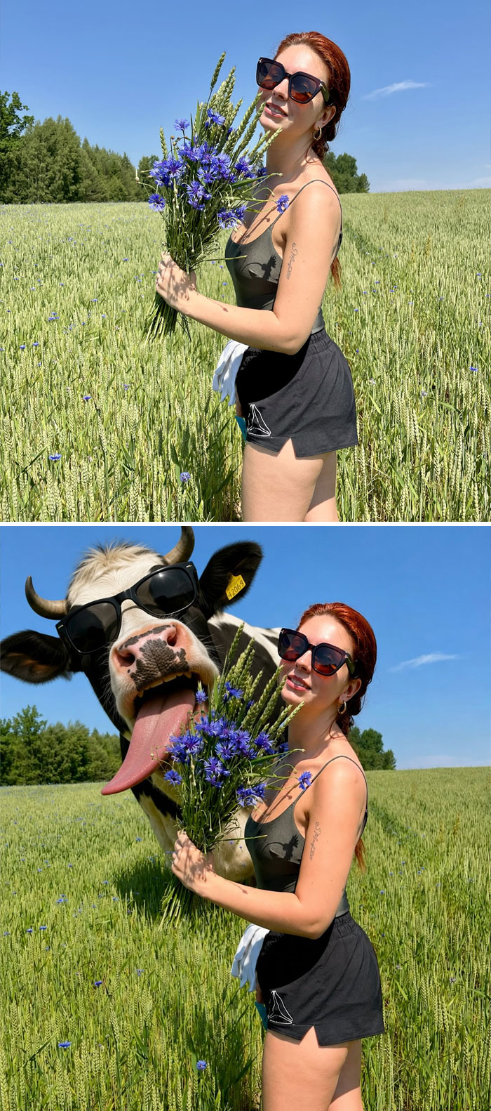 33 Times People Asked For A Simple Photoshop Edit And Got Something Hilariously Different Instead 33 Times People Asked For A Simple Photoshop Edit And Got Something Hilariously Different Instead