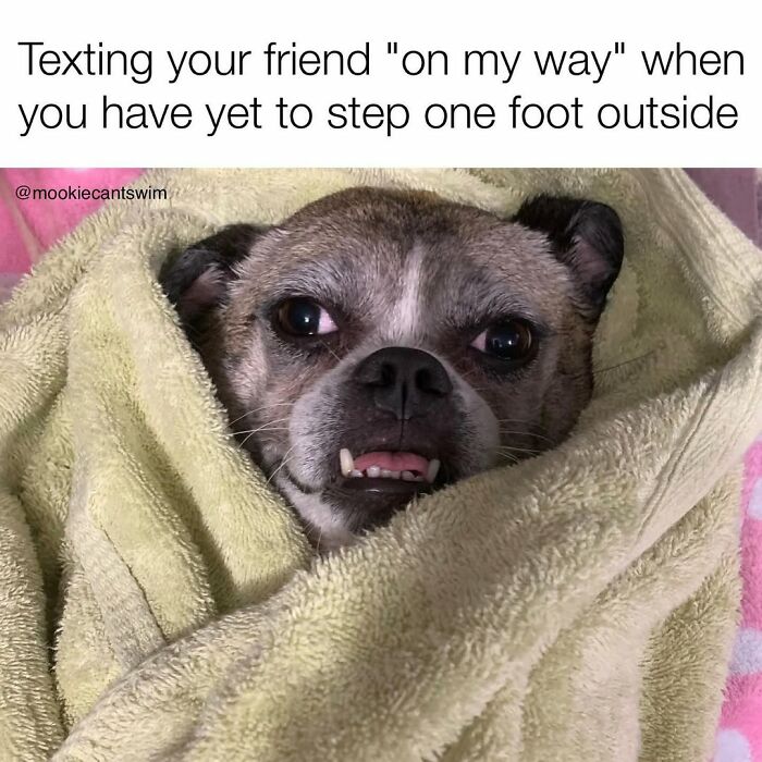 This Dog Owner Turns His Pup&rsquo;s Ridiculous Expressions Into Relatable Memes (35 Pics)