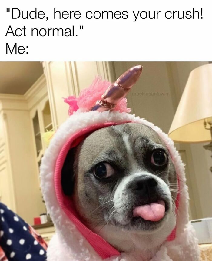 This Dog Owner Turns His Pup&rsquo;s Ridiculous Expressions Into Relatable Memes (35 Pics)