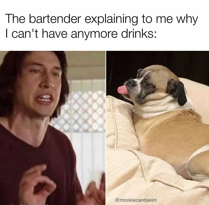 This Dog Owner Turns His Pup&rsquo;s Ridiculous Expressions Into Relatable Memes (35 Pics)