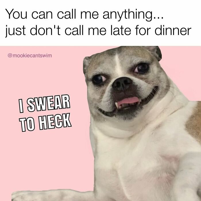 This Dog Owner Turns His Pup&rsquo;s Ridiculous Expressions Into Relatable Memes (35 Pics)