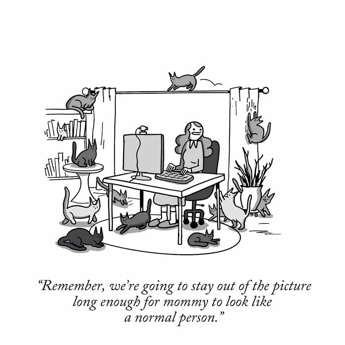 49 ‘War And Peas’ Dark Comics That Perfectly Capture Cats’ Love Of Mischief 49 ‘War And Peas’ Dark Comics That Perfectly Capture Cats’ Love Of Mischief