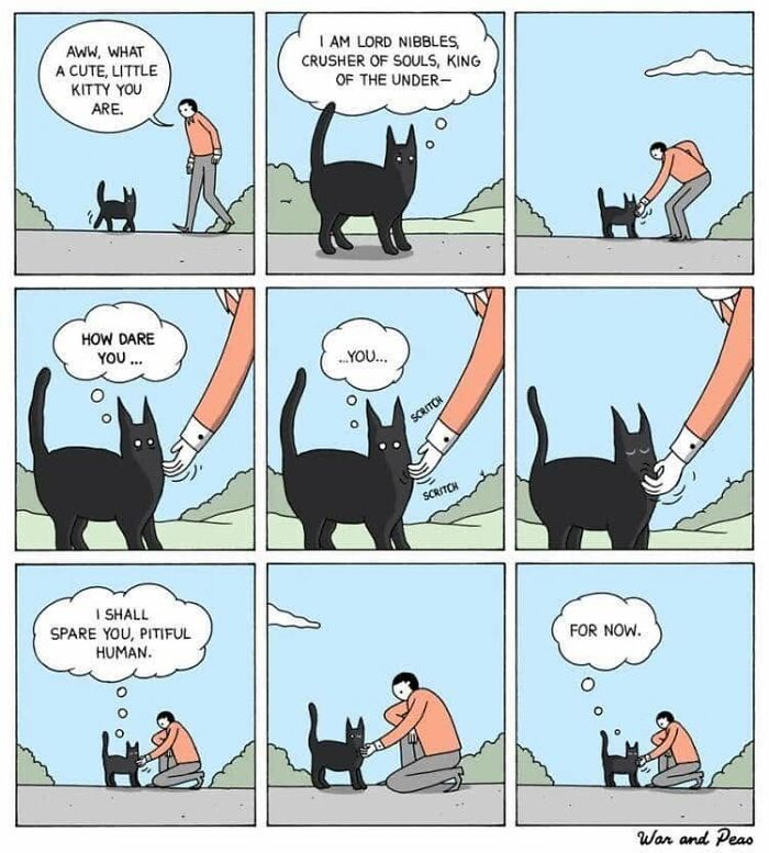 49 ‘War And Peas’ Dark Comics That Perfectly Capture Cats’ Love Of Mischief 49 ‘War And Peas’ Dark Comics That Perfectly Capture Cats’ Love Of Mischief