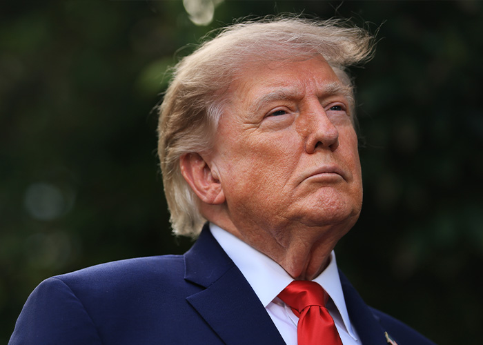 Trump Aide Natalie Harp Makes Awkward Statement In First Interview That Some Think Said More Than She Meant To Trump Aide Natalie Harp Makes Awkward Statement In First Interview That Some Think Said More Than She Meant To