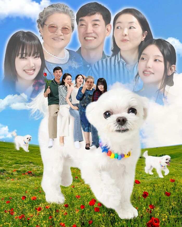 30 Family Portraits By ‘Bora’s Photo Shop’ That Take “Picture-Perfect” To A Whole New Level 30 Family Portraits By ‘Bora’s Photo Shop’ That Take “Picture-Perfect” To A Whole New Level