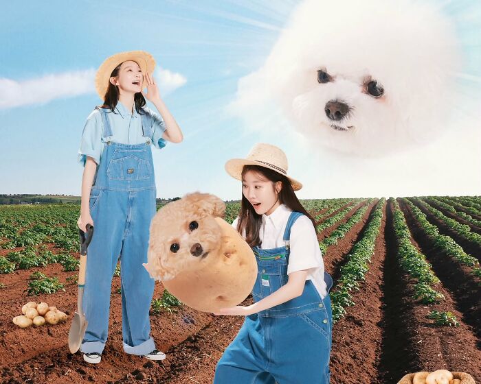 30 Family Portraits By ‘Bora’s Photo Shop’ That Take “Picture-Perfect” To A Whole New Level 30 Family Portraits By ‘Bora’s Photo Shop’ That Take “Picture-Perfect” To A Whole New Level