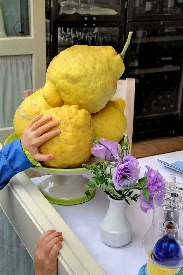 87 Real Pictures That Look Too Perfect To Be Natural But Don’t Have A Drop Of Photoshop 87 Real Pictures That Look Too Perfect To Be Natural But Don’t Have A Drop Of Photoshop