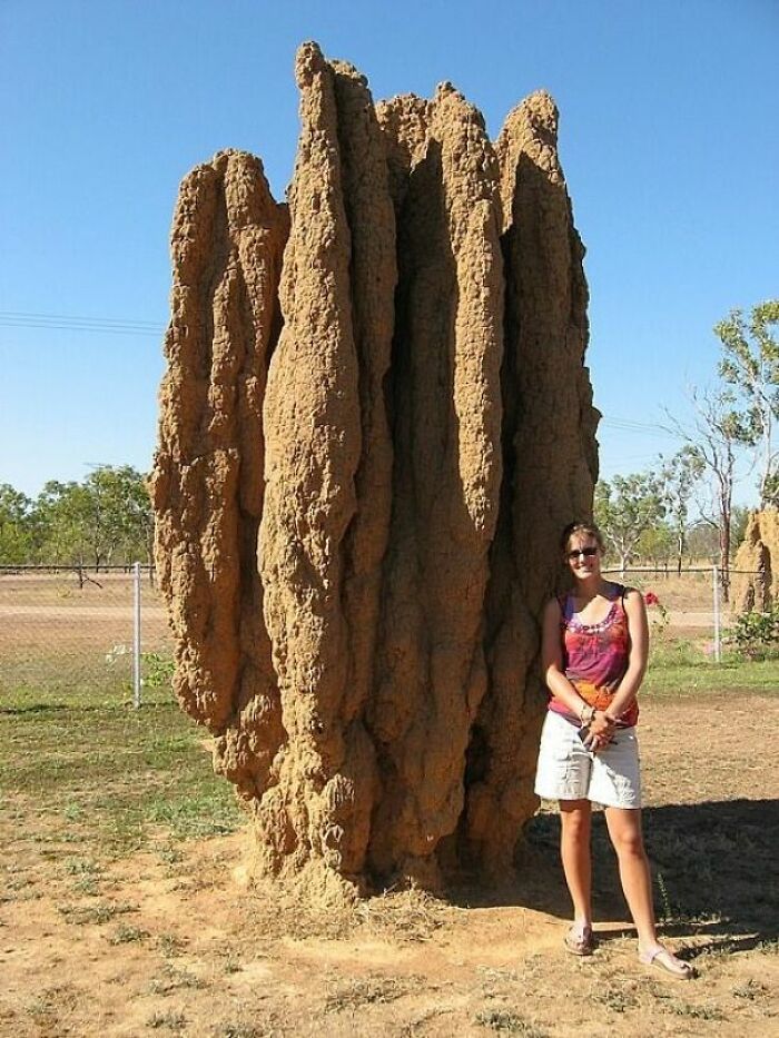 87 Real Pictures That Look Too Perfect To Be Natural But Don’t Have A Drop Of Photoshop 87 Real Pictures That Look Too Perfect To Be Natural But Don’t Have A Drop Of Photoshop
