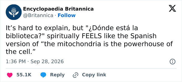 72 Tweets That Are Way Too Funny To Be Forgotten In The X Feed