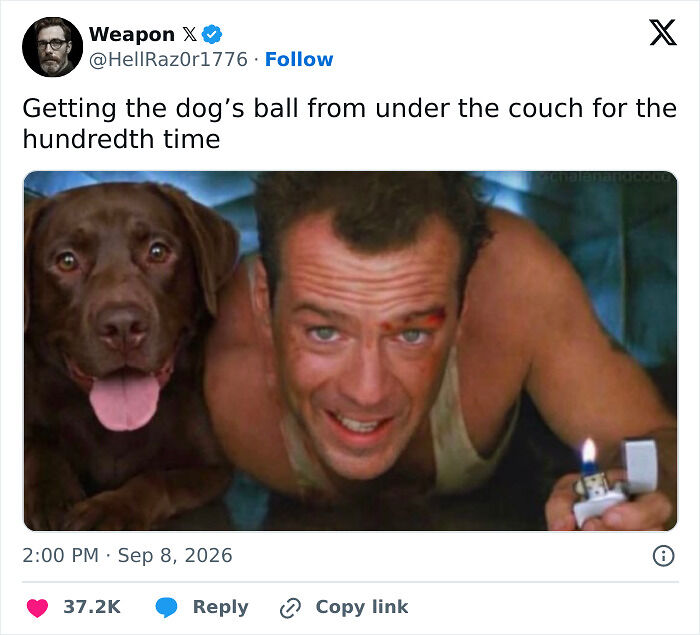 72 Tweets That Are Way Too Funny To Be Forgotten In The X Feed