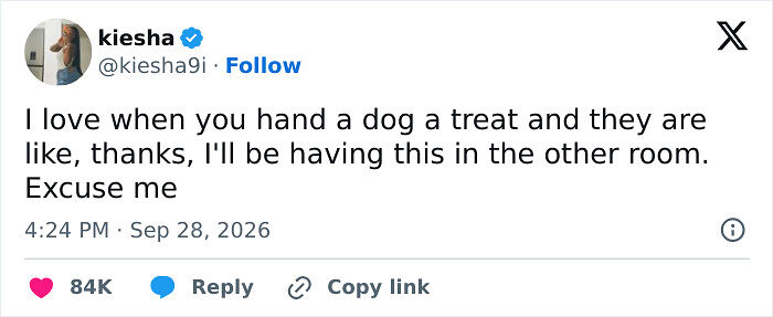 72 Tweets That Are Way Too Funny To Be Forgotten In The X Feed