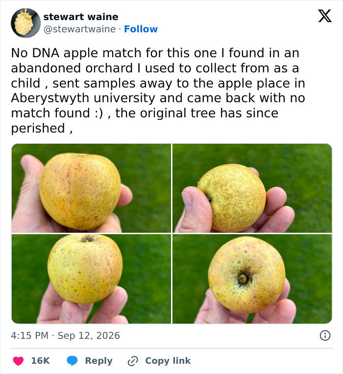 72 Tweets That Are Way Too Funny To Be Forgotten In The X Feed