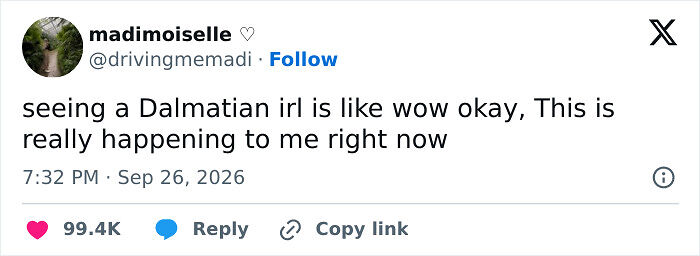 72 Tweets That Are Way Too Funny To Be Forgotten In The X Feed