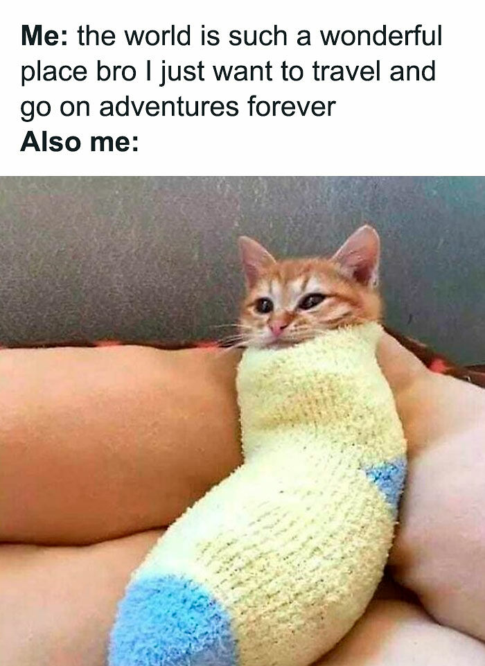 80 Relatable Memes For Introverts Whose Idea Of A Perfect Night Is Zero Human Contact 80 Relatable Memes For Introverts Whose Idea Of A Perfect Night Is Zero Human Contact