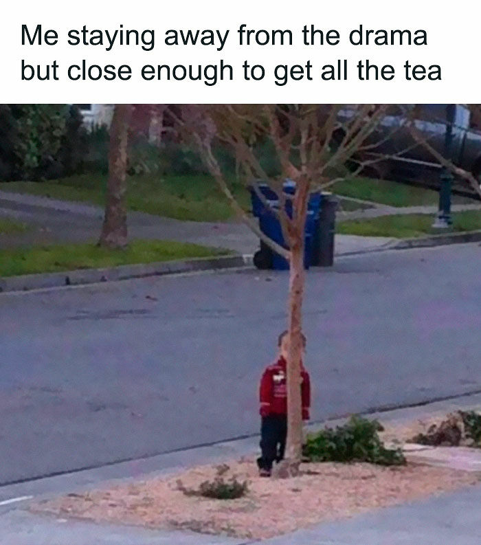80 Relatable Memes For Introverts Whose Idea Of A Perfect Night Is Zero Human Contact 80 Relatable Memes For Introverts Whose Idea Of A Perfect Night Is Zero Human Contact