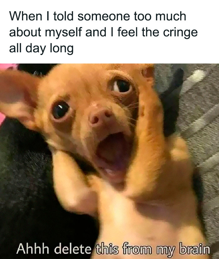 80 Relatable Memes For Introverts Whose Idea Of A Perfect Night Is Zero Human Contact 80 Relatable Memes For Introverts Whose Idea Of A Perfect Night Is Zero Human Contact