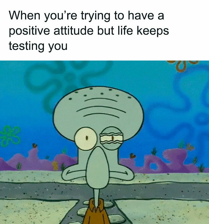 80 Relatable Memes For Introverts Whose Idea Of A Perfect Night Is Zero Human Contact 80 Relatable Memes For Introverts Whose Idea Of A Perfect Night Is Zero Human Contact
