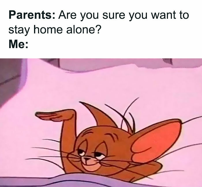 80 Relatable Memes For Introverts Whose Idea Of A Perfect Night Is Zero Human Contact 80 Relatable Memes For Introverts Whose Idea Of A Perfect Night Is Zero Human Contact