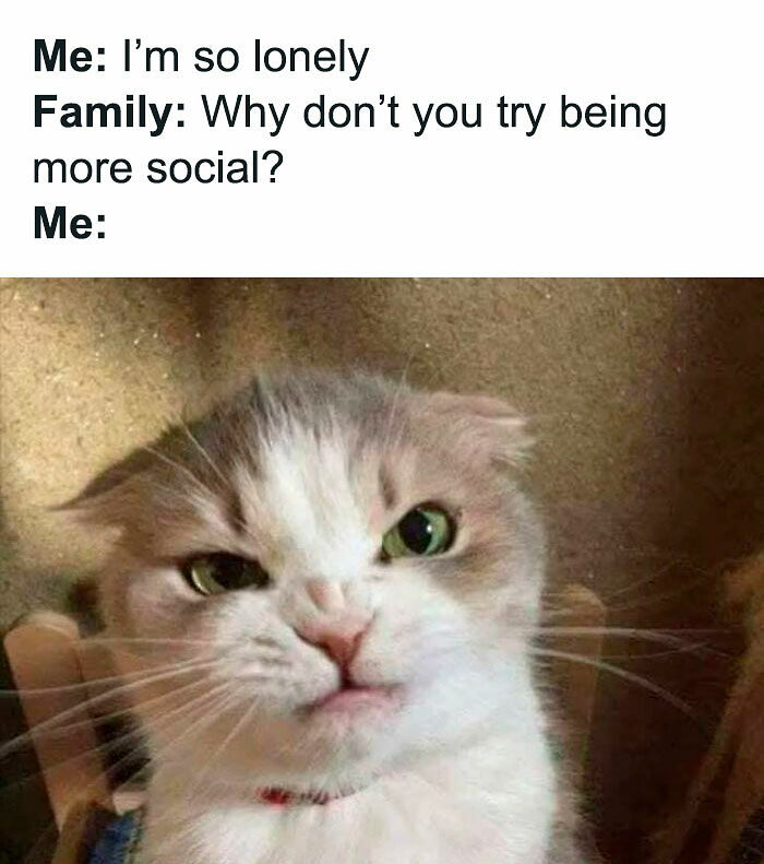 80 Relatable Memes For Introverts Whose Idea Of A Perfect Night Is Zero Human Contact 80 Relatable Memes For Introverts Whose Idea Of A Perfect Night Is Zero Human Contact