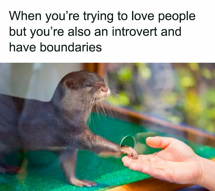 80 Relatable Memes For Introverts Whose Idea Of A Perfect Night Is Zero Human Contact 80 Relatable Memes For Introverts Whose Idea Of A Perfect Night Is Zero Human Contact