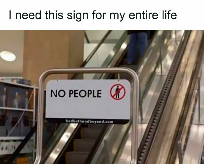 80 Relatable Memes For Introverts Whose Idea Of A Perfect Night Is Zero Human Contact 80 Relatable Memes For Introverts Whose Idea Of A Perfect Night Is Zero Human Contact