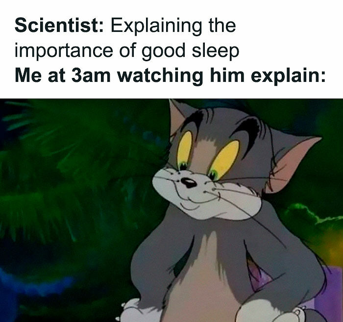 80 Relatable Memes For Introverts Whose Idea Of A Perfect Night Is Zero Human Contact 80 Relatable Memes For Introverts Whose Idea Of A Perfect Night Is Zero Human Contact