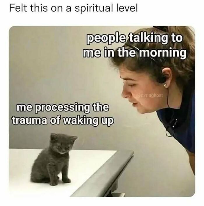 80 Relatable Memes For Introverts Whose Idea Of A Perfect Night Is Zero Human Contact 80 Relatable Memes For Introverts Whose Idea Of A Perfect Night Is Zero Human Contact