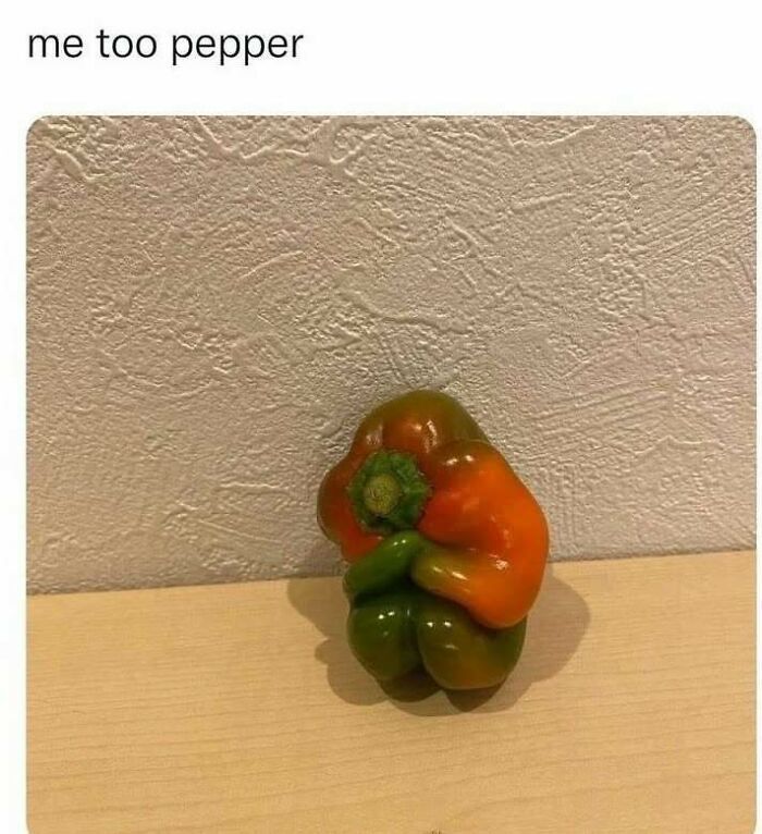 80 Relatable Memes For Introverts Whose Idea Of A Perfect Night Is Zero Human Contact 80 Relatable Memes For Introverts Whose Idea Of A Perfect Night Is Zero Human Contact