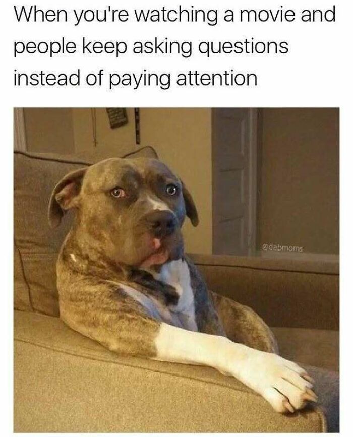 80 Relatable Memes For Introverts Whose Idea Of A Perfect Night Is Zero Human Contact 80 Relatable Memes For Introverts Whose Idea Of A Perfect Night Is Zero Human Contact