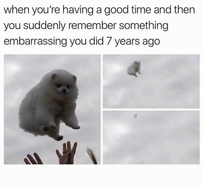 80 Relatable Memes For Introverts Whose Idea Of A Perfect Night Is Zero Human Contact 80 Relatable Memes For Introverts Whose Idea Of A Perfect Night Is Zero Human Contact