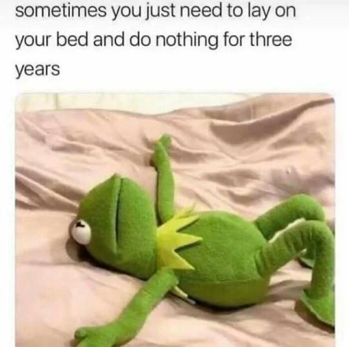 80 Relatable Memes For Introverts Whose Idea Of A Perfect Night Is Zero Human Contact 80 Relatable Memes For Introverts Whose Idea Of A Perfect Night Is Zero Human Contact