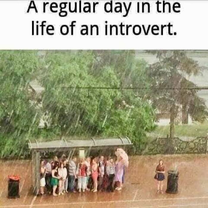 80 Relatable Memes For Introverts Whose Idea Of A Perfect Night Is Zero Human Contact 80 Relatable Memes For Introverts Whose Idea Of A Perfect Night Is Zero Human Contact