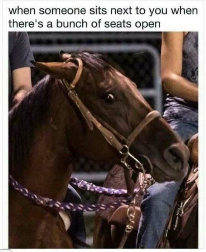 80 Relatable Memes For Introverts Whose Idea Of A Perfect Night Is Zero Human Contact 80 Relatable Memes For Introverts Whose Idea Of A Perfect Night Is Zero Human Contact