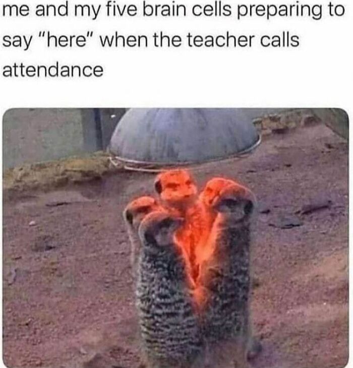 80 Relatable Memes For Introverts Whose Idea Of A Perfect Night Is Zero Human Contact 80 Relatable Memes For Introverts Whose Idea Of A Perfect Night Is Zero Human Contact