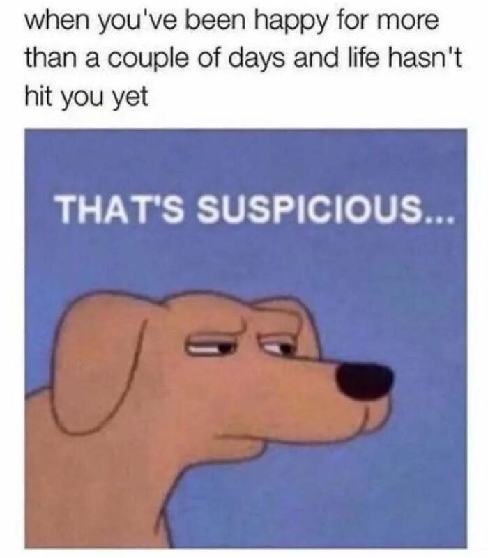 80 Relatable Memes For Introverts Whose Idea Of A Perfect Night Is Zero Human Contact 80 Relatable Memes For Introverts Whose Idea Of A Perfect Night Is Zero Human Contact