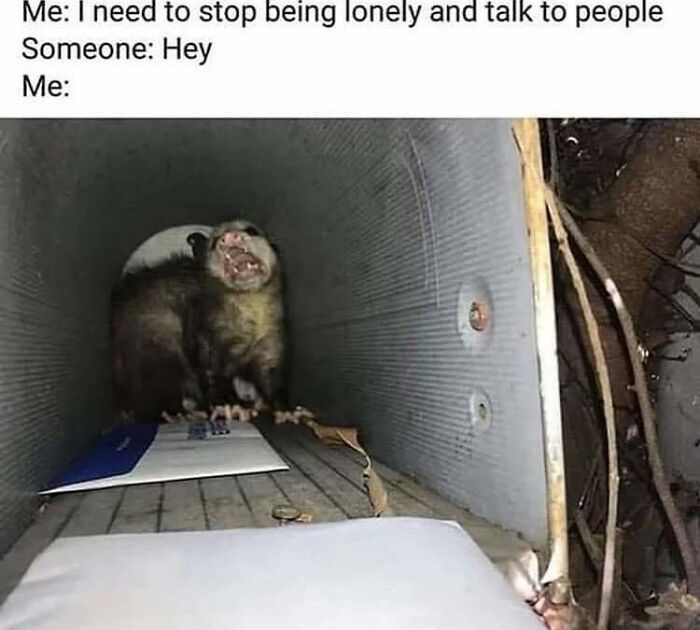 80 Relatable Memes For Introverts Whose Idea Of A Perfect Night Is Zero Human Contact 80 Relatable Memes For Introverts Whose Idea Of A Perfect Night Is Zero Human Contact