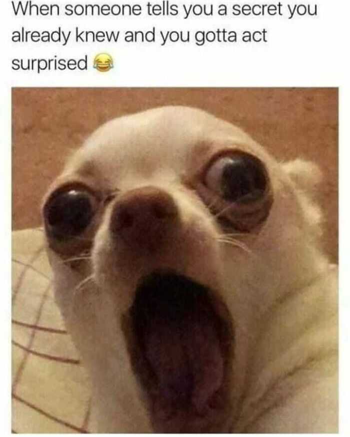 80 Relatable Memes For Introverts Whose Idea Of A Perfect Night Is Zero Human Contact 80 Relatable Memes For Introverts Whose Idea Of A Perfect Night Is Zero Human Contact