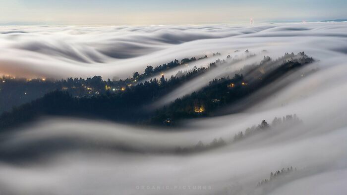 From Birds To Landscapes: 53 Striking Photos Shared On This Reddit Community From Birds To Landscapes: 53 Striking Photos Shared On This Reddit Community