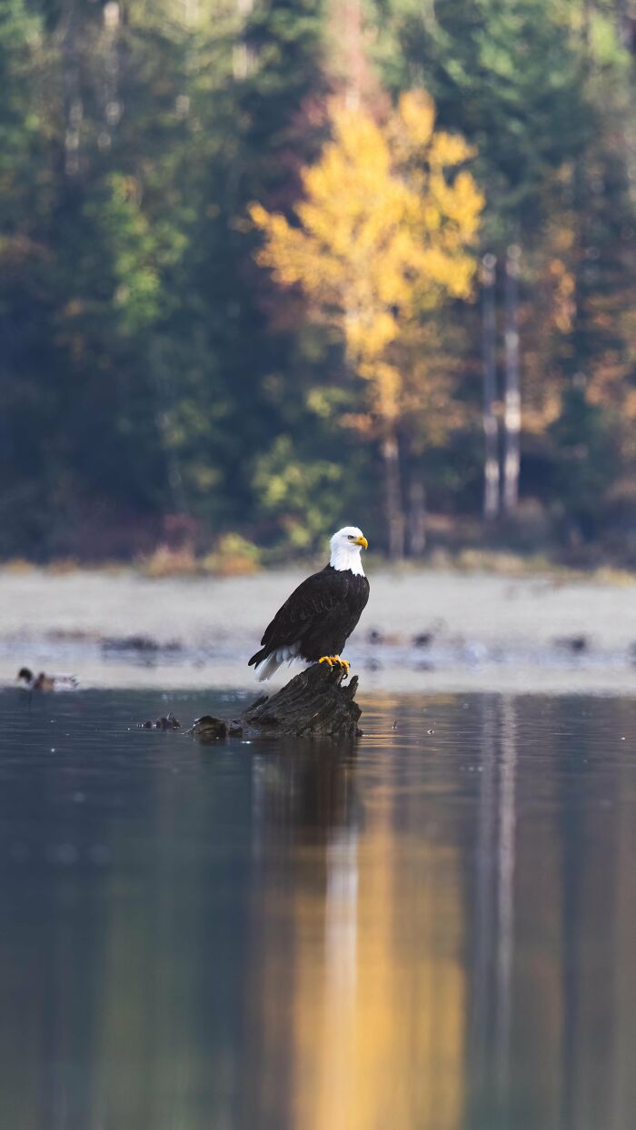 From Birds To Landscapes: 53 Striking Photos Shared On This Reddit Community From Birds To Landscapes: 53 Striking Photos Shared On This Reddit Community
