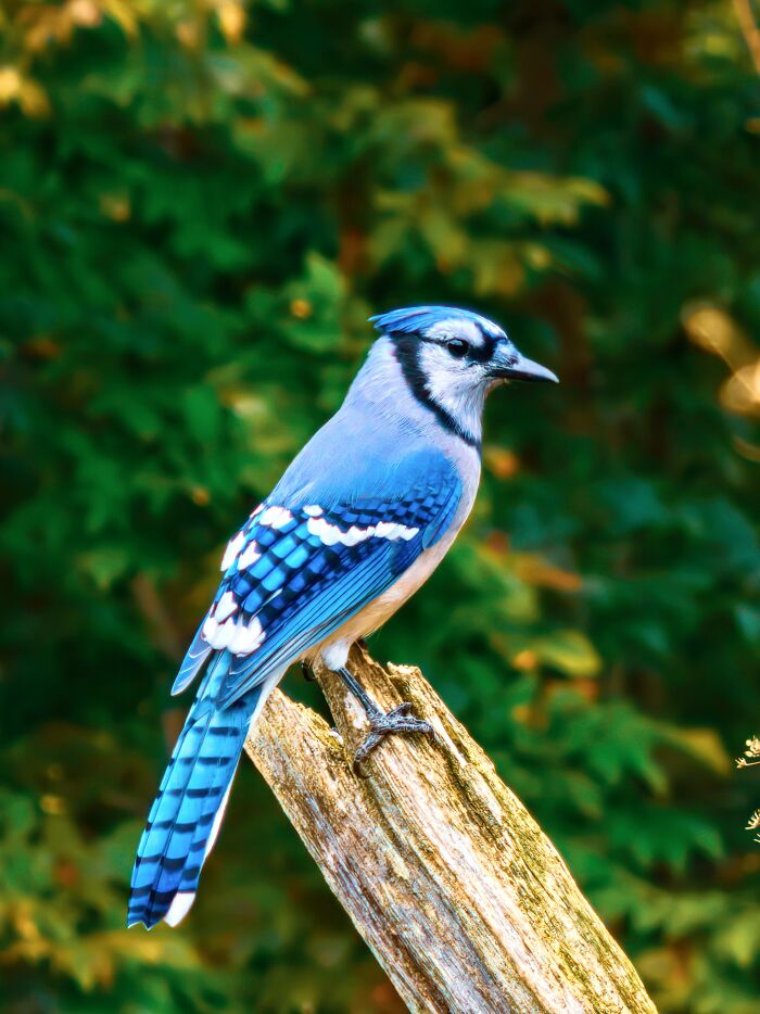 From Birds To Landscapes: 53 Striking Photos Shared On This Reddit Community From Birds To Landscapes: 53 Striking Photos Shared On This Reddit Community