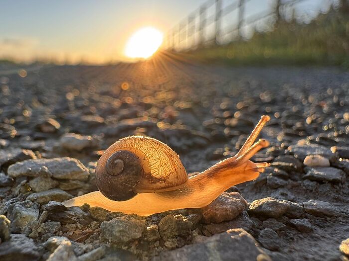 From Birds To Landscapes: 53 Striking Photos Shared On This Reddit Community From Birds To Landscapes: 53 Striking Photos Shared On This Reddit Community