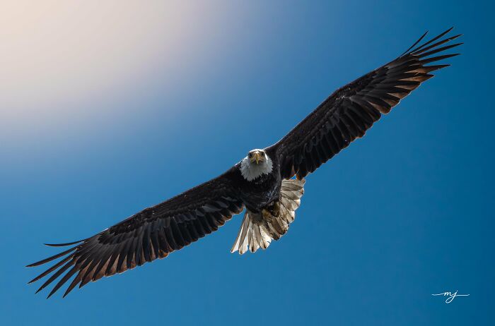 From Birds To Landscapes: 53 Striking Photos Shared On This Reddit Community From Birds To Landscapes: 53 Striking Photos Shared On This Reddit Community