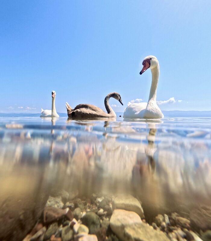 From Birds To Landscapes: 53 Striking Photos Shared On This Reddit Community From Birds To Landscapes: 53 Striking Photos Shared On This Reddit Community