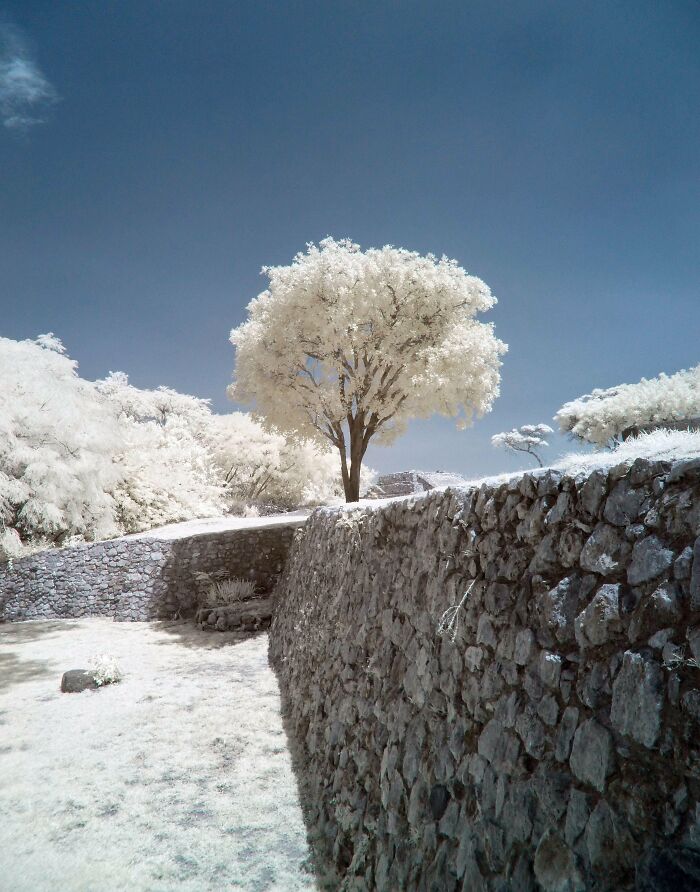 From Birds To Landscapes: 53 Striking Photos Shared On This Reddit Community From Birds To Landscapes: 53 Striking Photos Shared On This Reddit Community