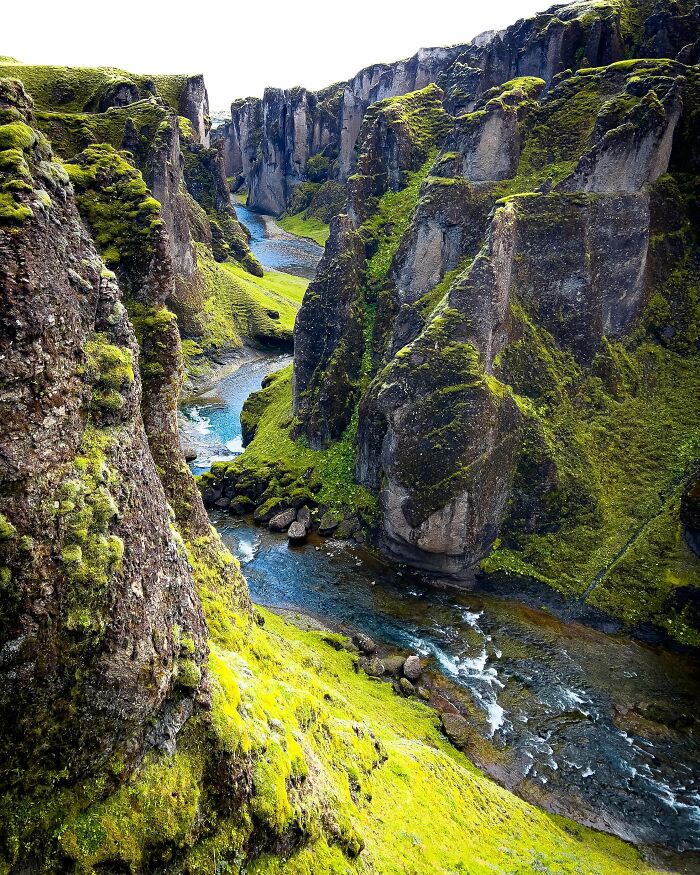From Birds To Landscapes: 53 Striking Photos Shared On This Reddit Community From Birds To Landscapes: 53 Striking Photos Shared On This Reddit Community